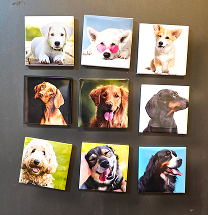 Premium High Quality Photo Magnets